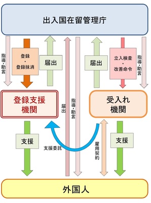 受入れ機関と登録支援機関
